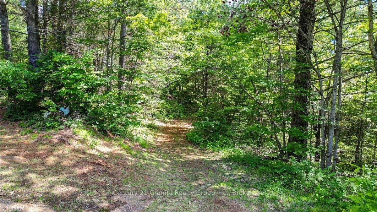 24224 62 Highway • Coe Hill, ON photo 42