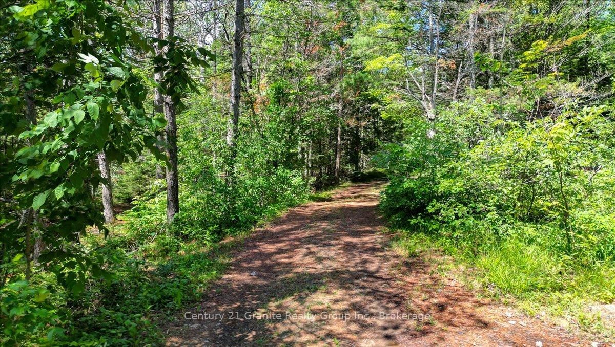 24224 62 Highway • Coe Hill, ON photo 43