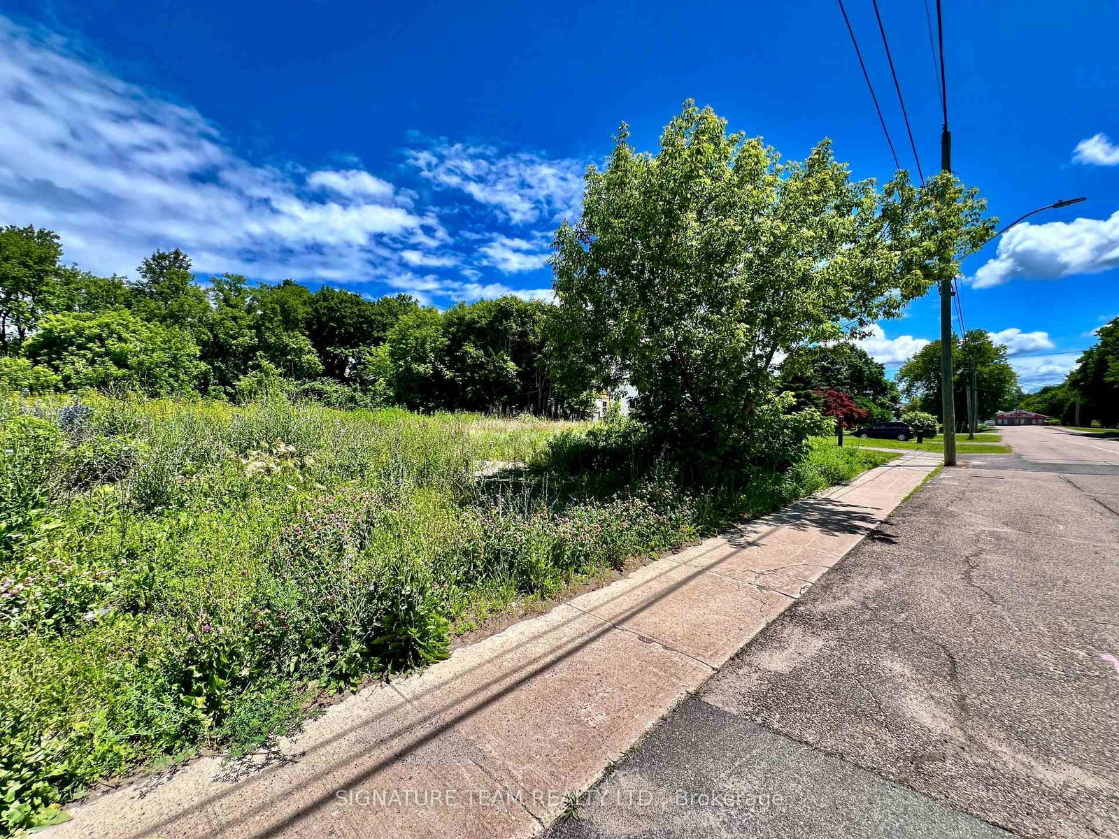 203 John Street • Eganville, ON photo 11
