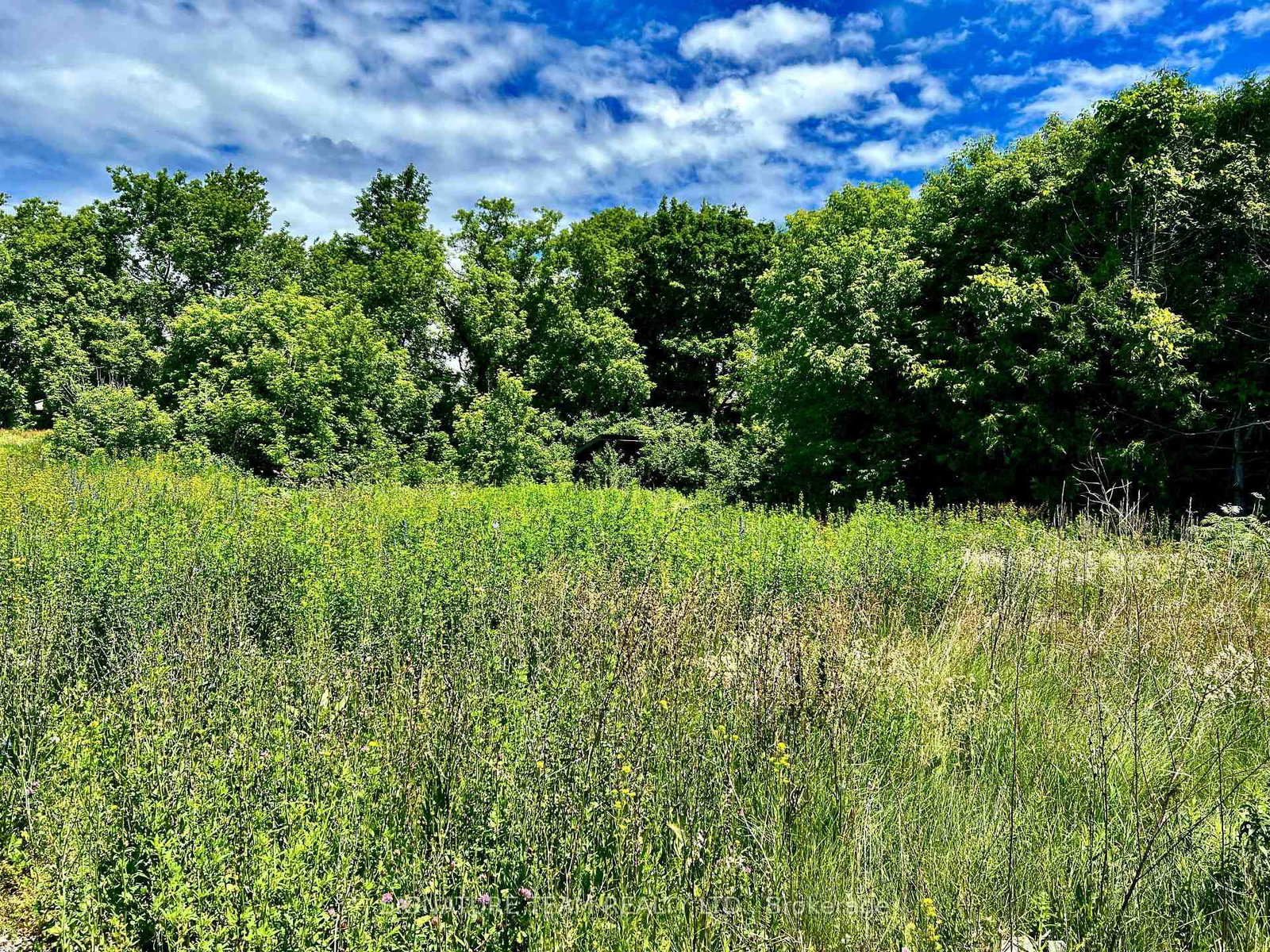 203 John Street • Eganville, ON photo 12