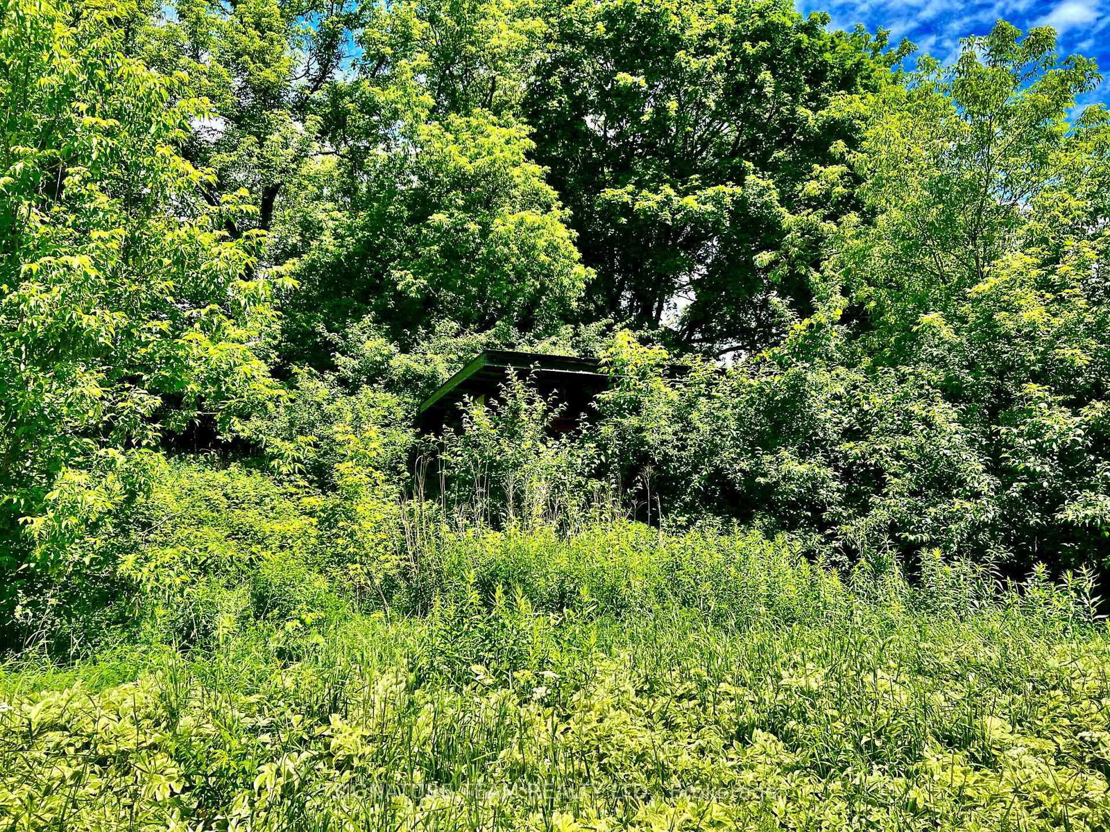 203 John Street • Eganville, ON photo 14