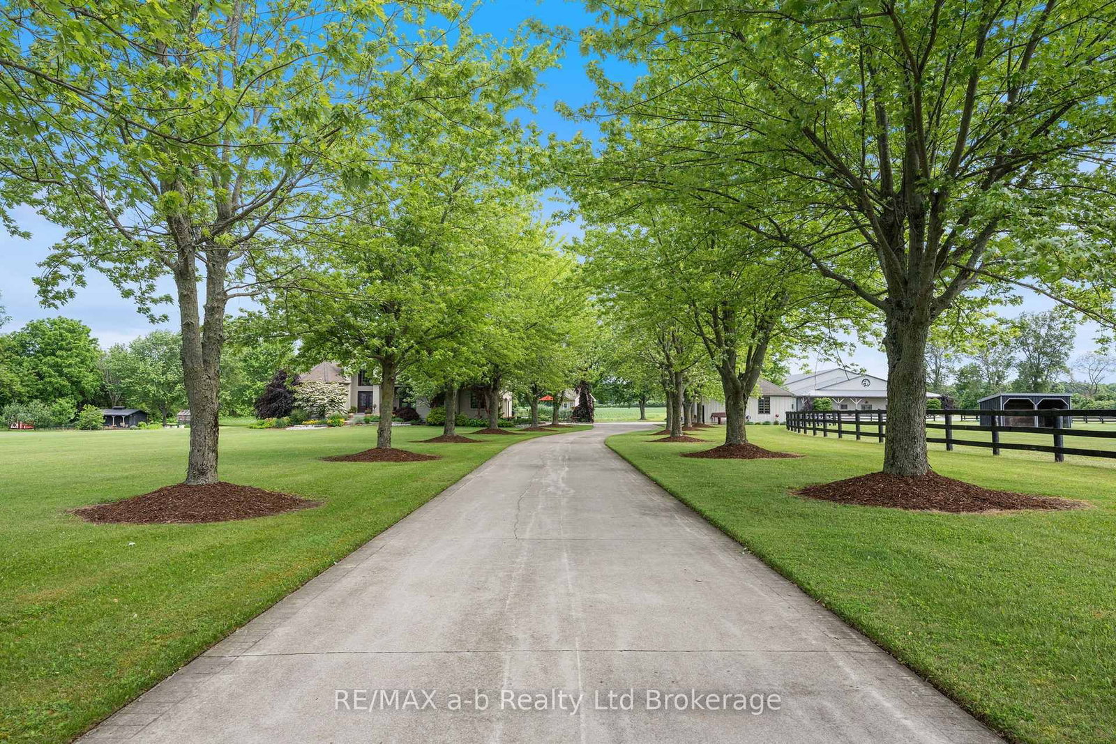 55226 BEST Line • Bayham, ON photo 4