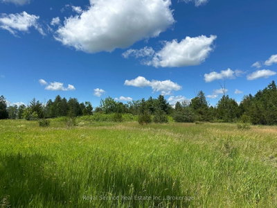 Vacant Land for sale at 1794 springbrook Road, Stirling-Rawdon, Ontario, K0K 3C0 - Rawdon Ward - MLS: X13473990