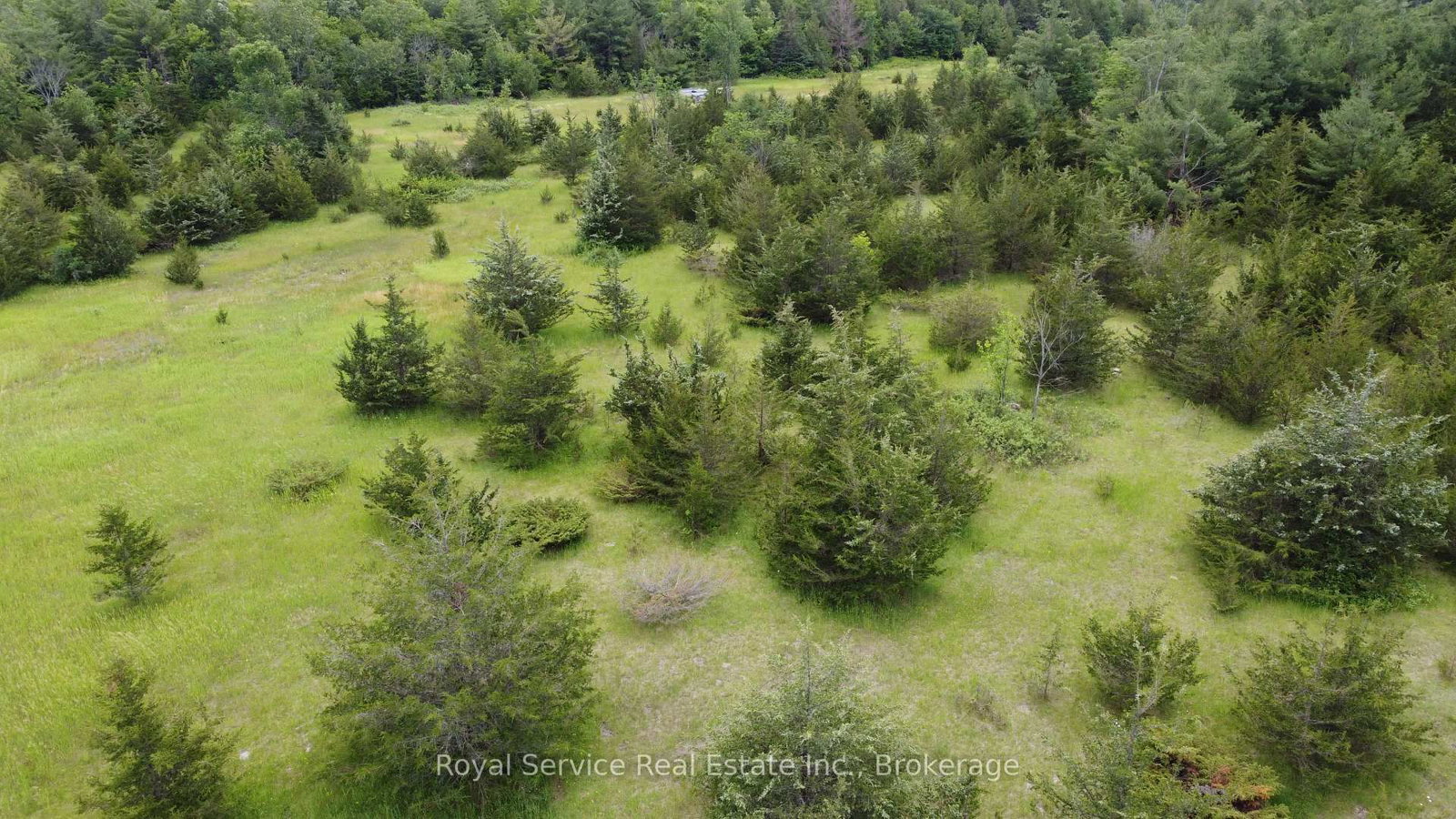 1794 springbrook Road • Stirling-Rawdon, ON photo 17