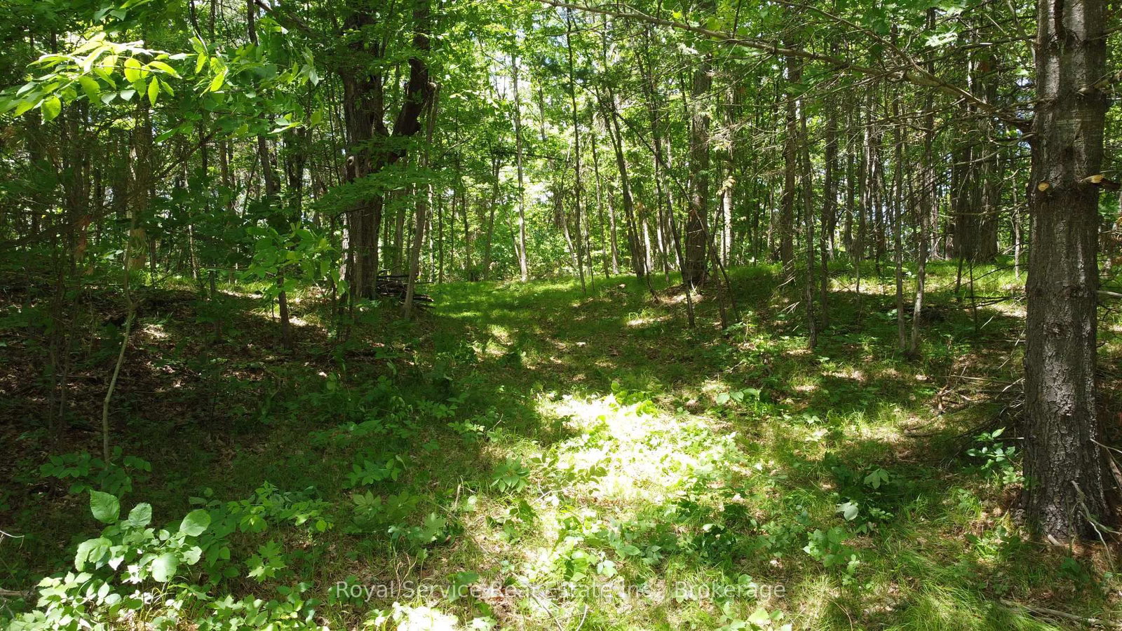 1794 springbrook Road • Stirling-Rawdon, ON photo 22