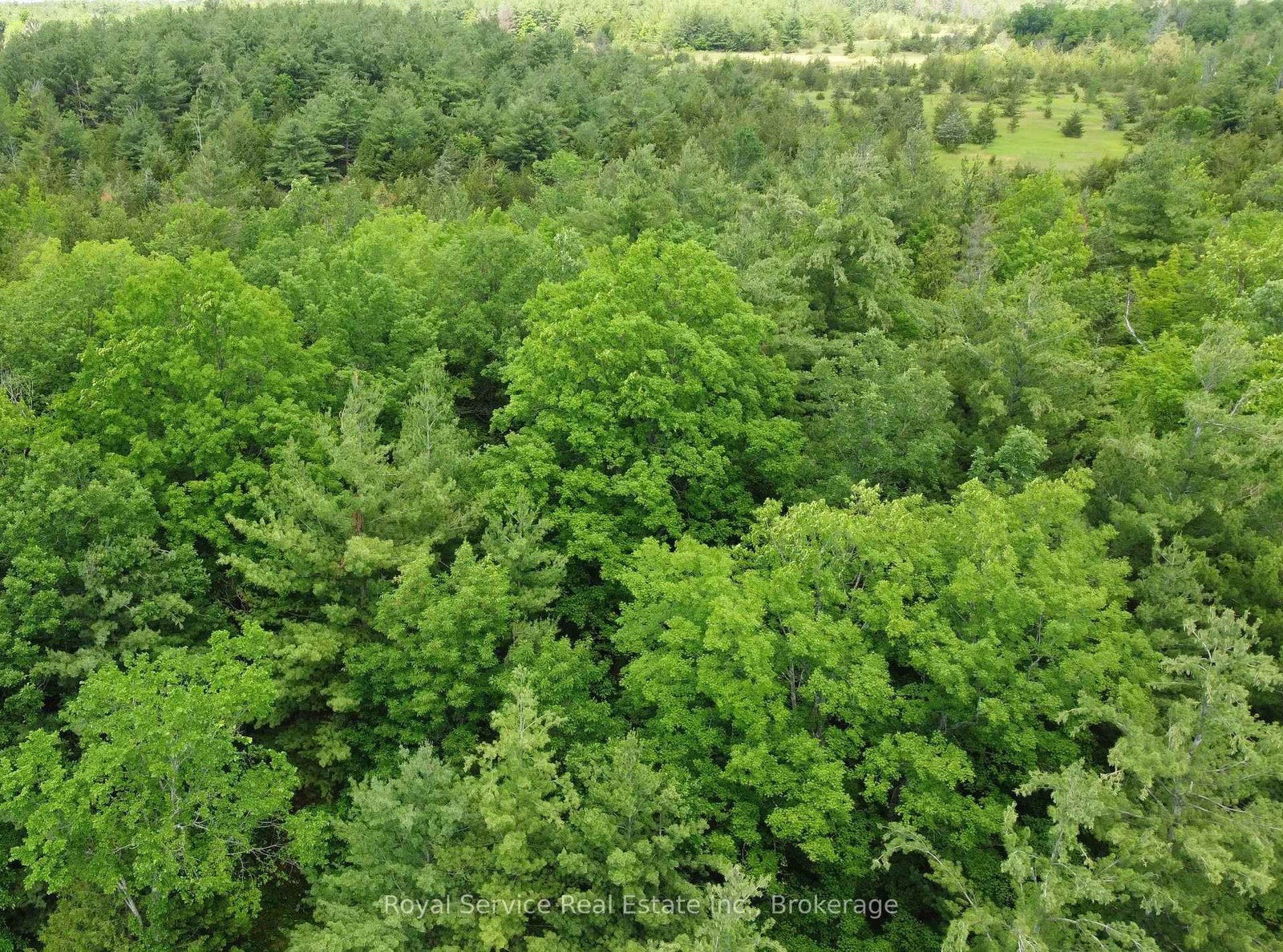 1794 springbrook Road • Stirling-Rawdon, ON photo 24