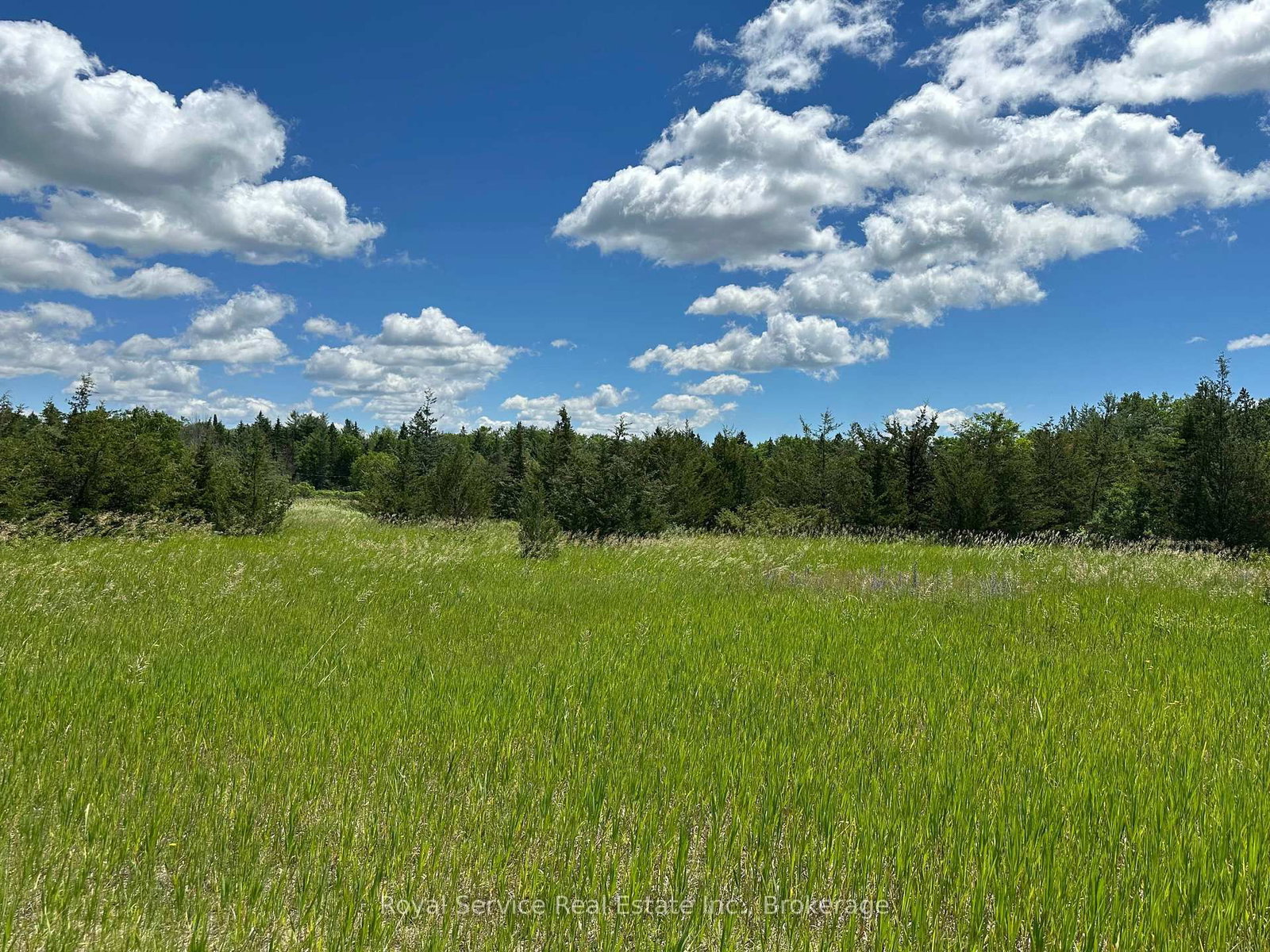 1794 springbrook Road • Stirling-Rawdon, ON photo 26