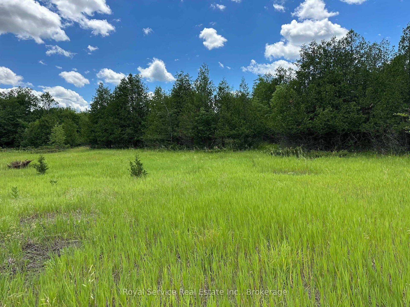 1794 springbrook Road • Stirling-Rawdon, ON photo 27