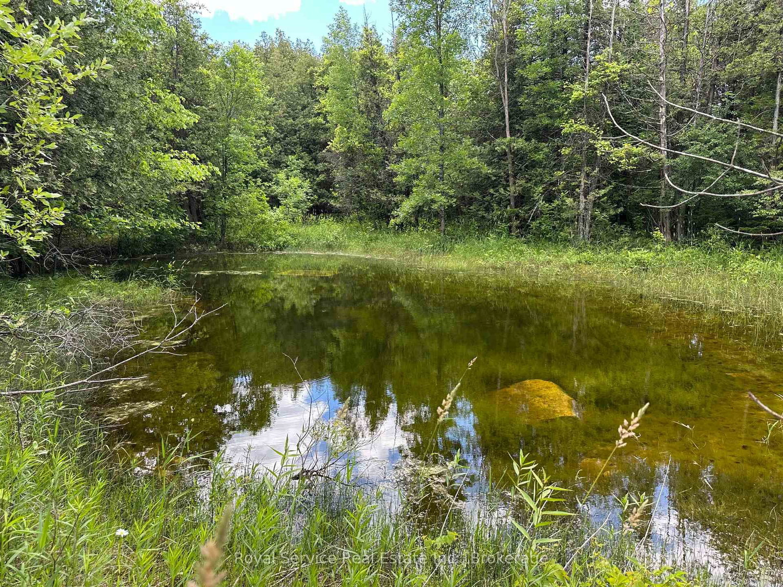 1794 springbrook Road • Stirling-Rawdon, ON photo 28