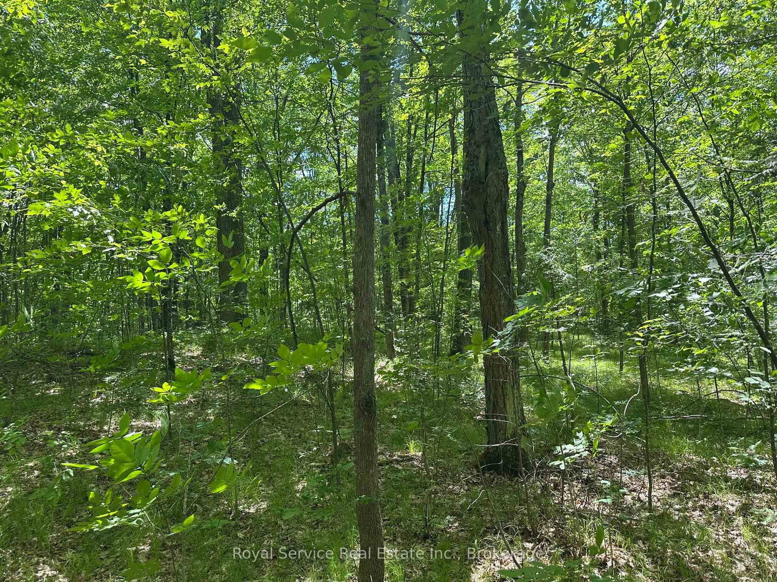 1794 springbrook Road • Stirling-Rawdon, ON photo 29