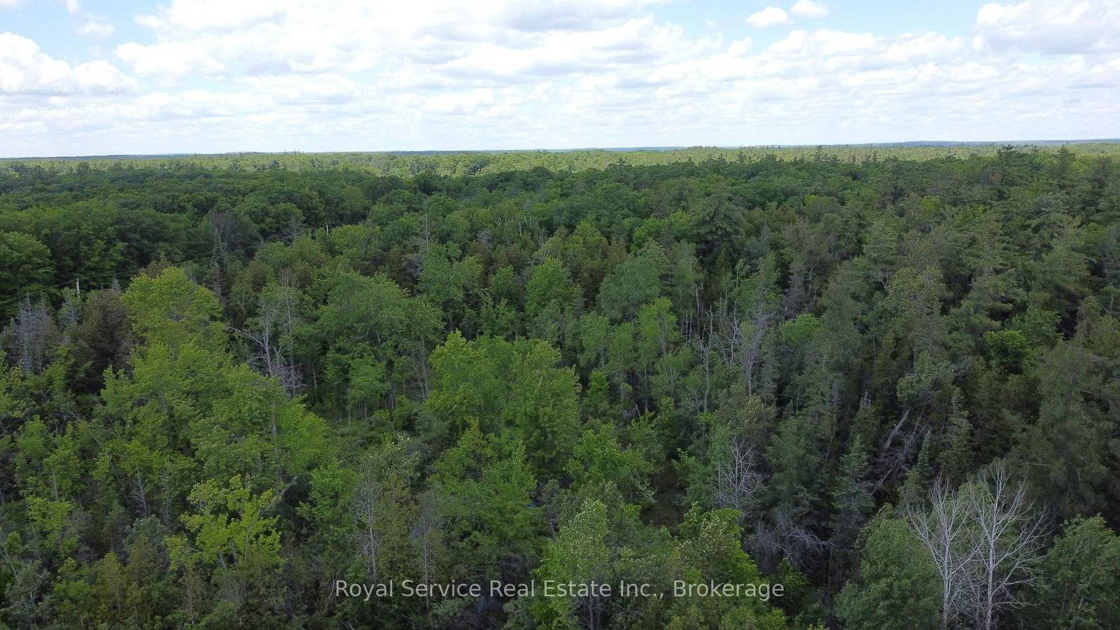 1794 springbrook Road • Stirling-Rawdon, ON photo 6