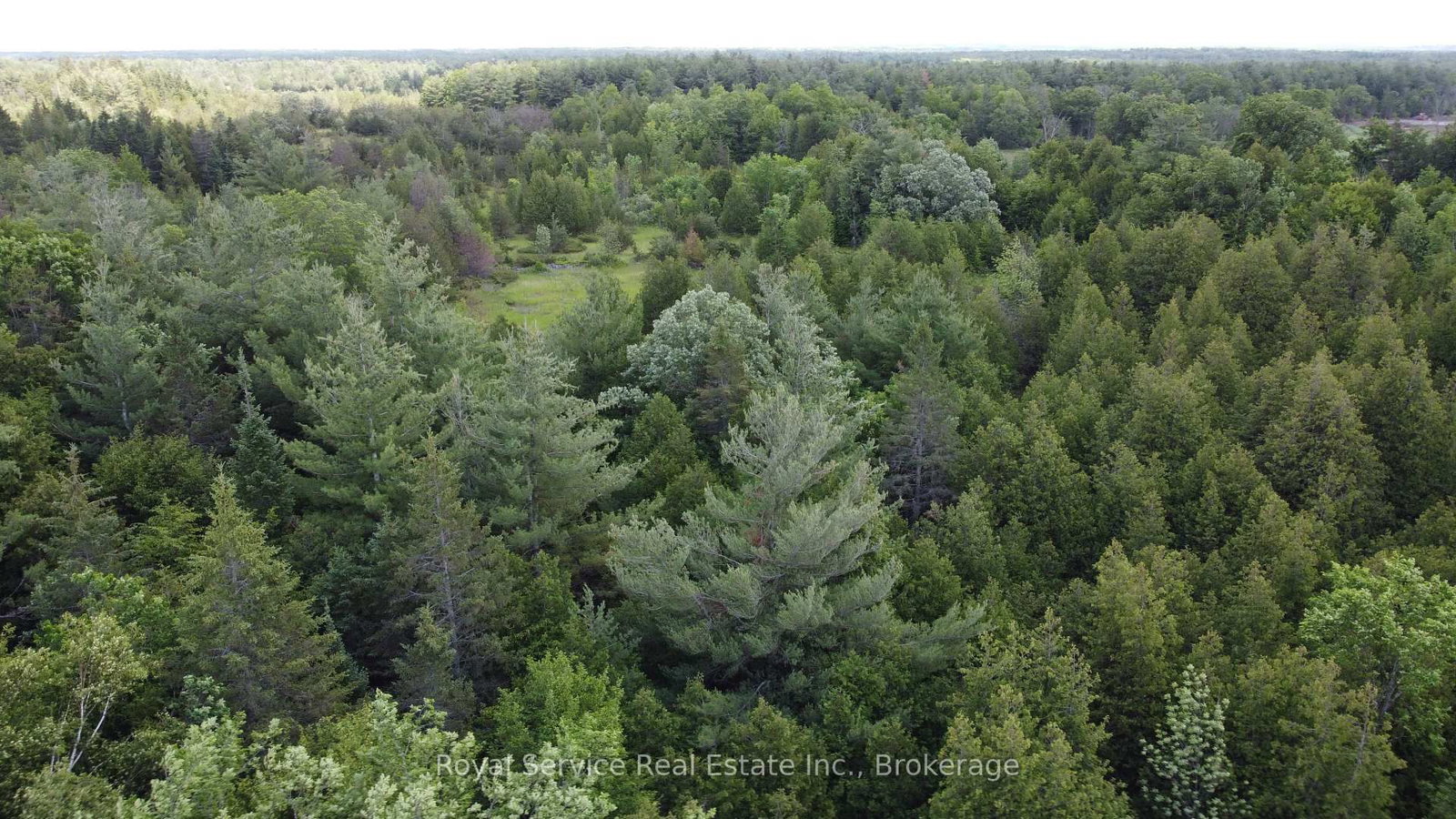 1794 springbrook Road • Stirling-Rawdon, ON photo 7