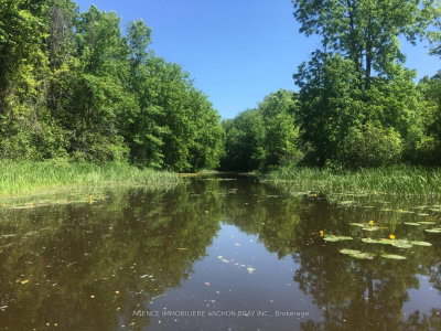 21481 Butternut Lane • South Glengarry, ON photo 8