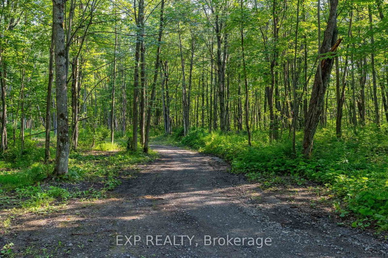 Lot 20 CONCESSION 4 Road