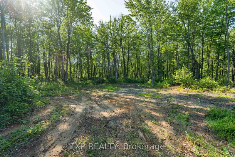 Lot 20 CONCESSION 4 Road