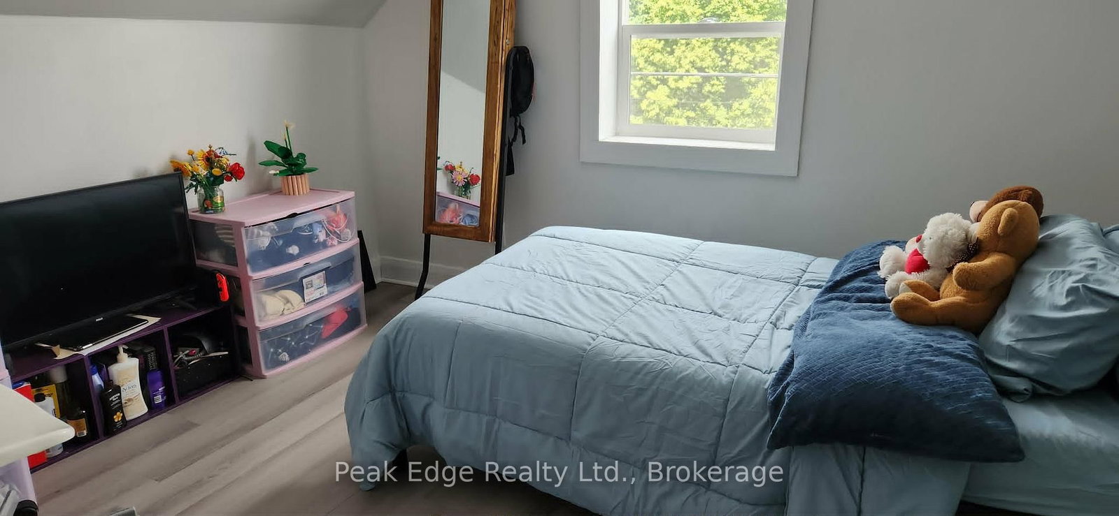 281 6th Street • Hanover, ON photo 16