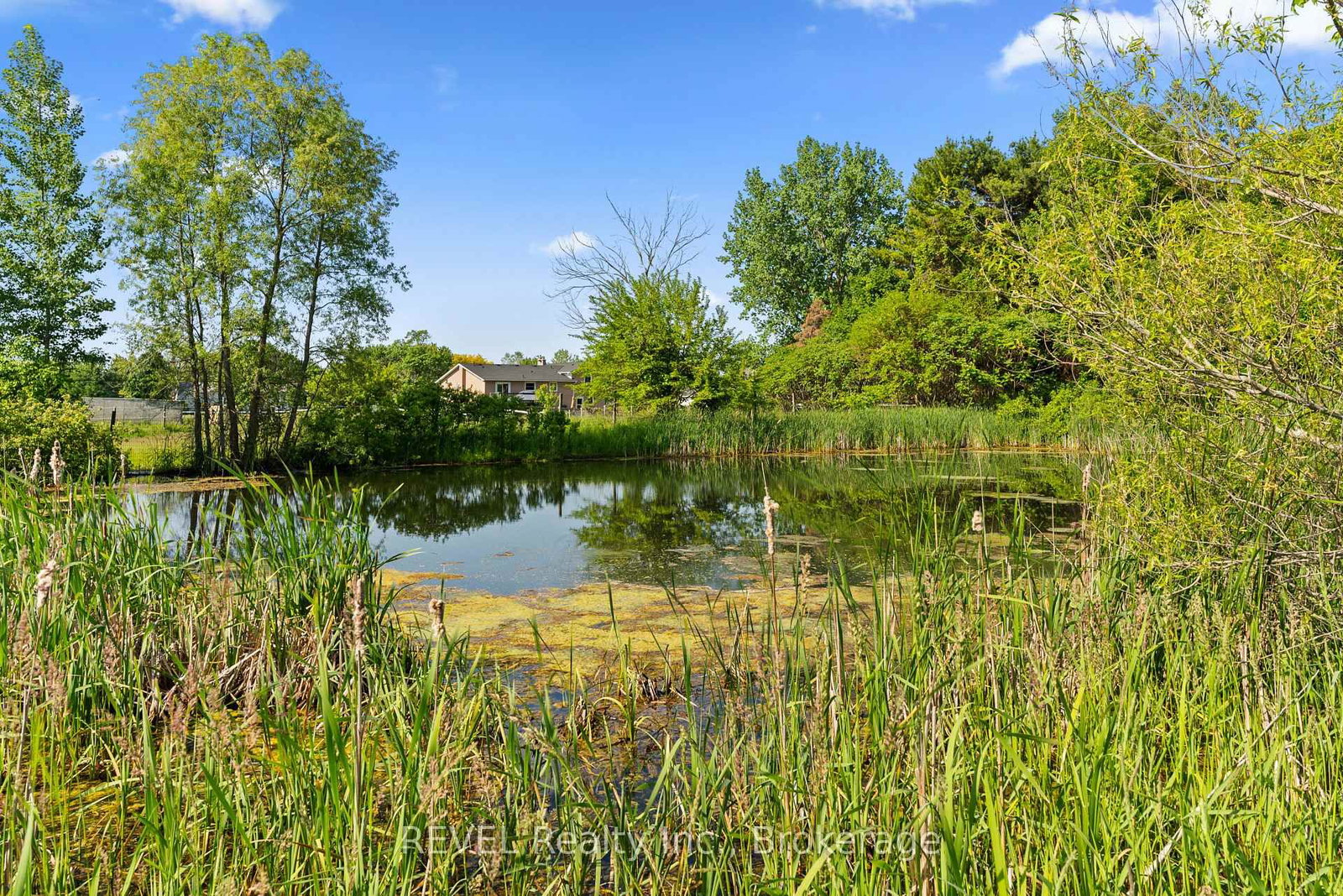 43758 Highway 3 (Forks RD) Highway • Wainfleet, ON photo 25