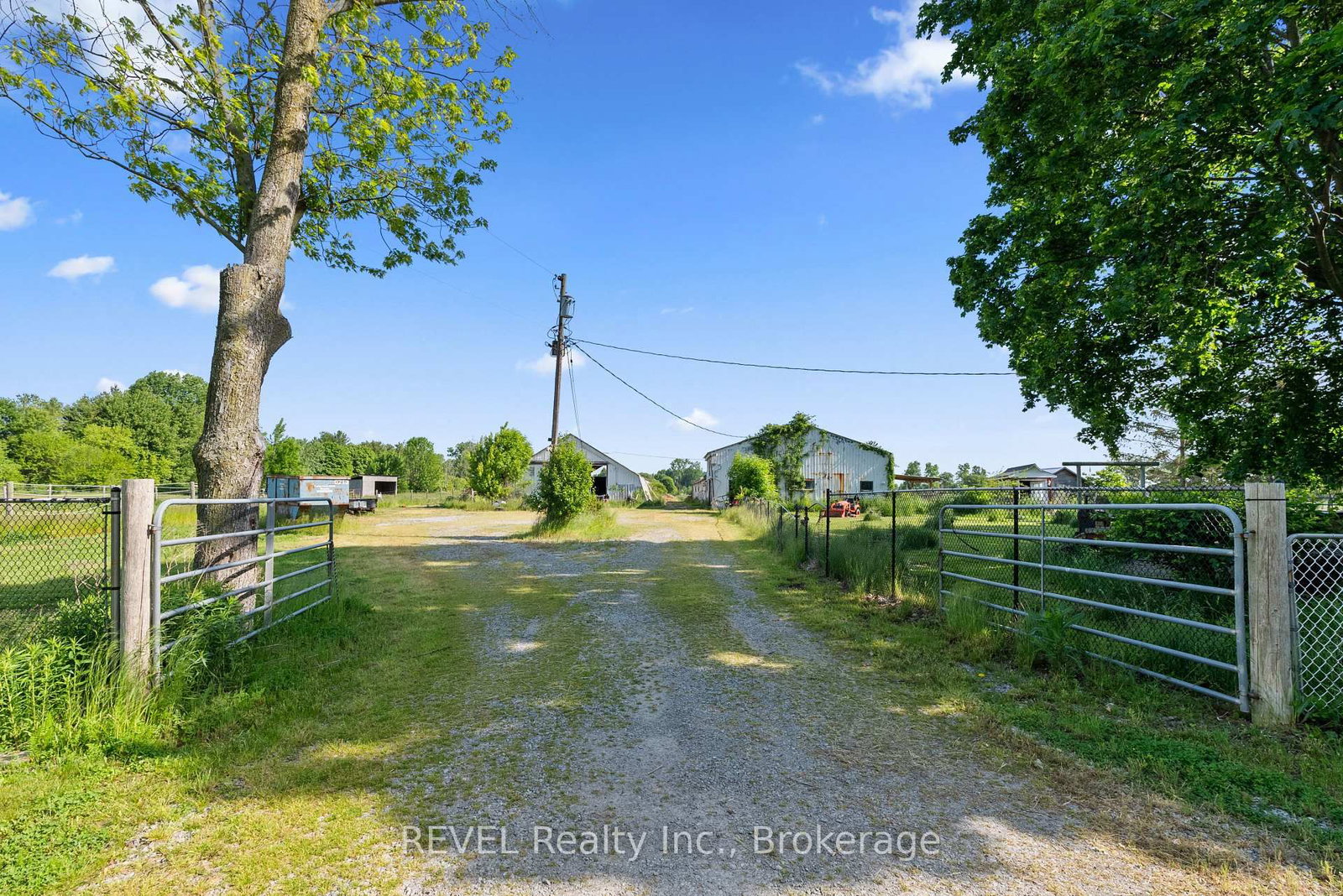 43758 Highway #3 (Forks Rd) Highway • Wainfleet, ON photo 6