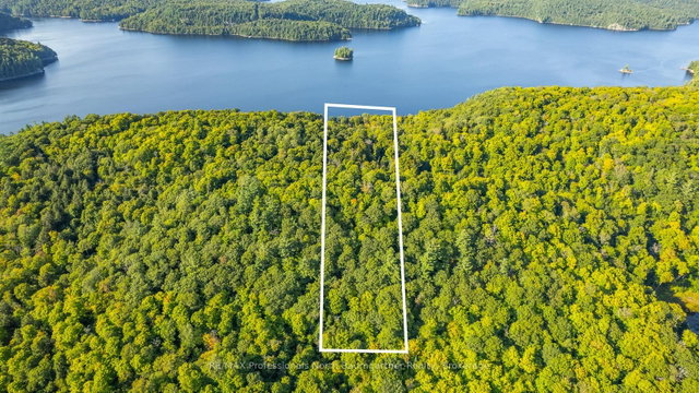 0 ADELINE Trail