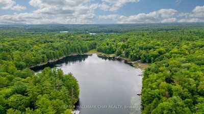 35 Little Long Lake Road • Muskoka Lakes, ON photo 4