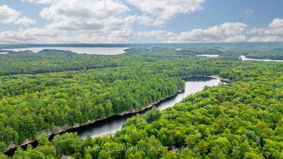 35 Little Long Lake Road • Muskoka Lakes, ON photo 5