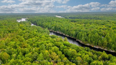 35 Little Long Lake Road • Muskoka Lakes, ON photo 6