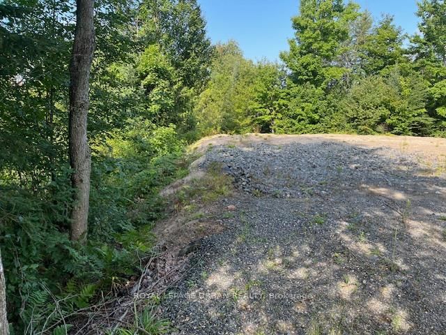 836 Rye Road