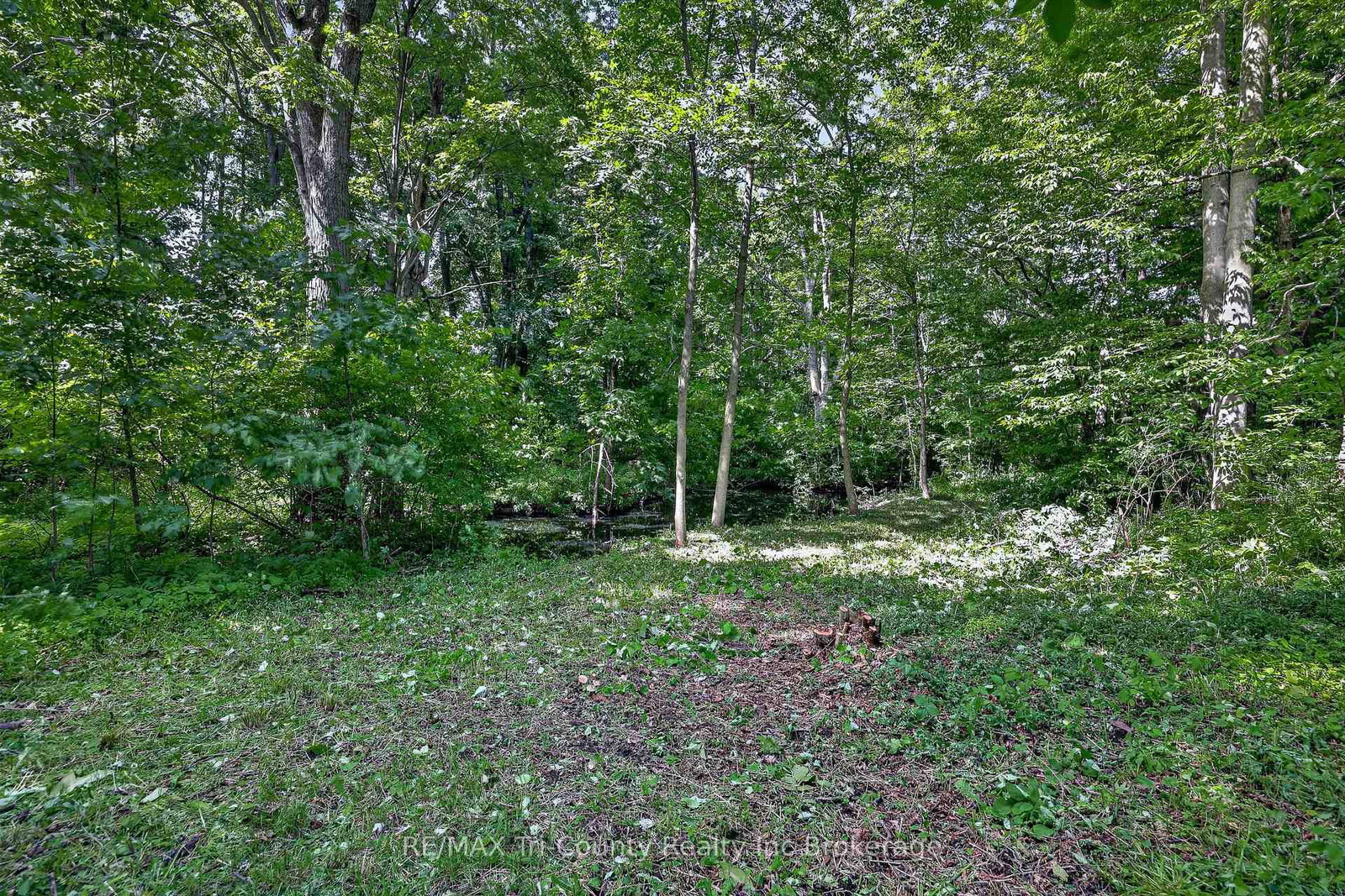 54427 Talbot Line • Bayham, ON photo 38