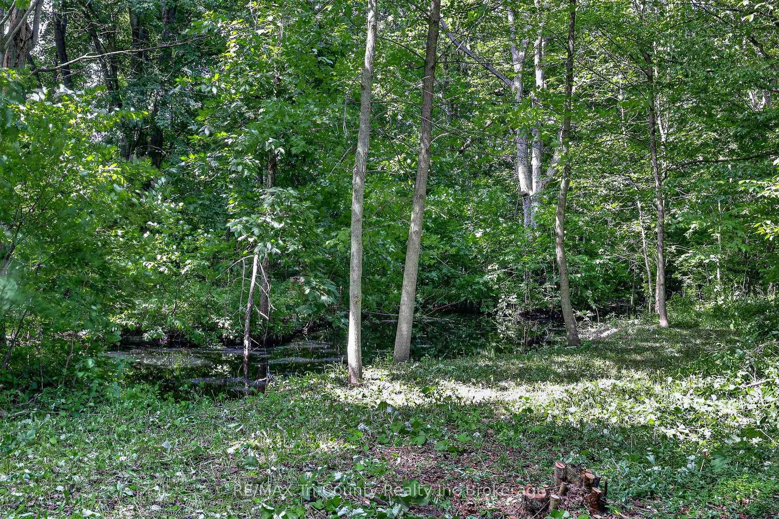 54427 Talbot Line • Bayham, ON photo 39