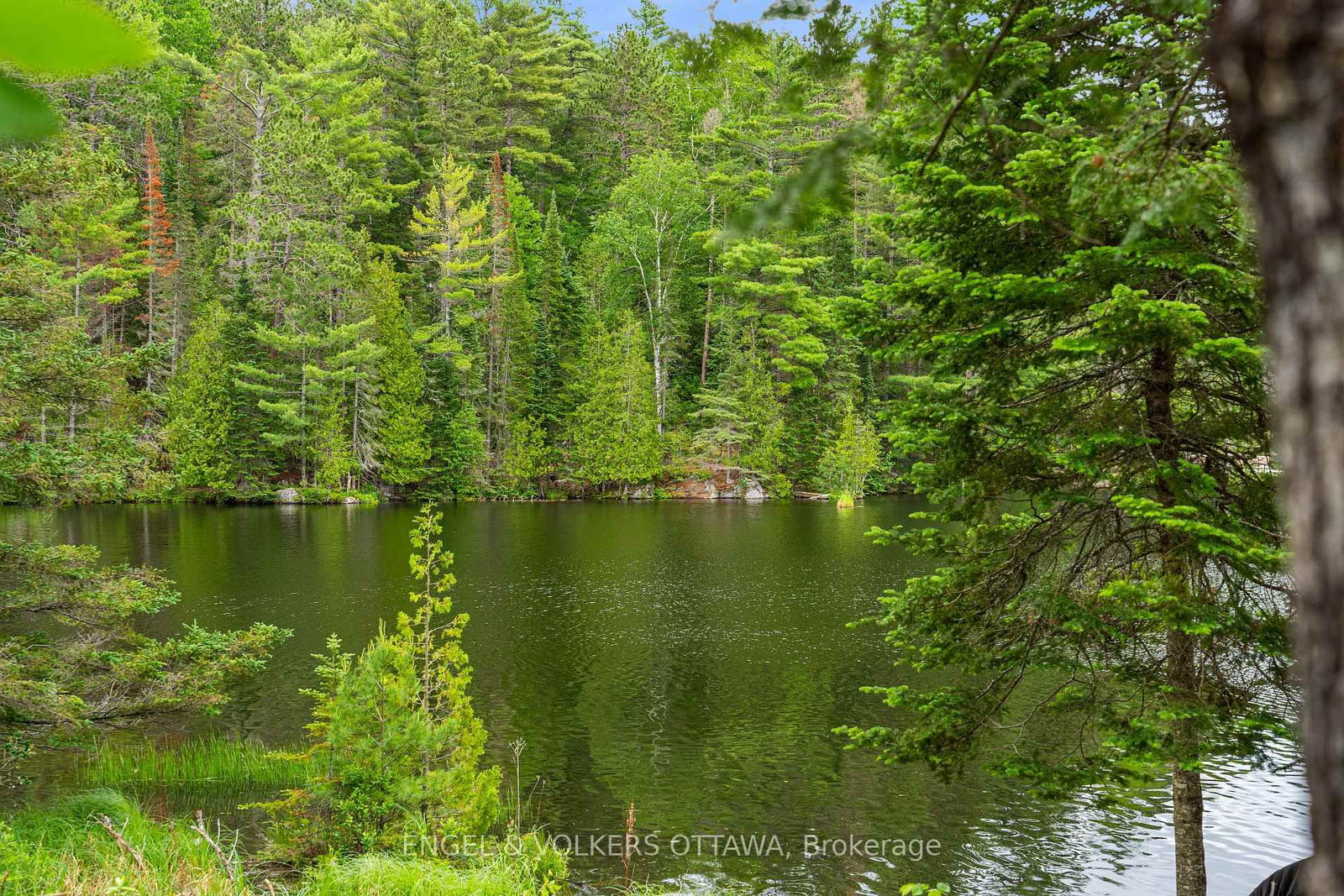 1779 Centennial Lake Road • Calabogie, ON photo 42
