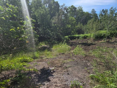 0 Northern Avenue • Trent Lakes, ON photo 2