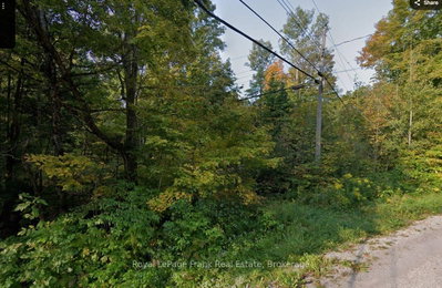 0 Northern Avenue • Trent Lakes, ON photo 3