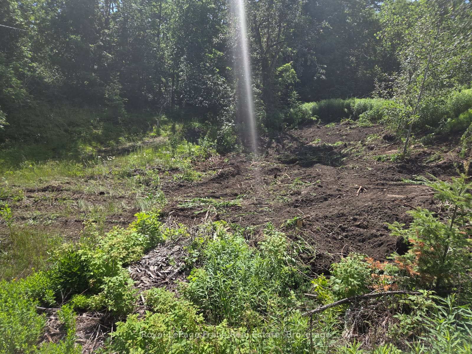 0 Northern Avenue • Trent Lakes, ON photo 5