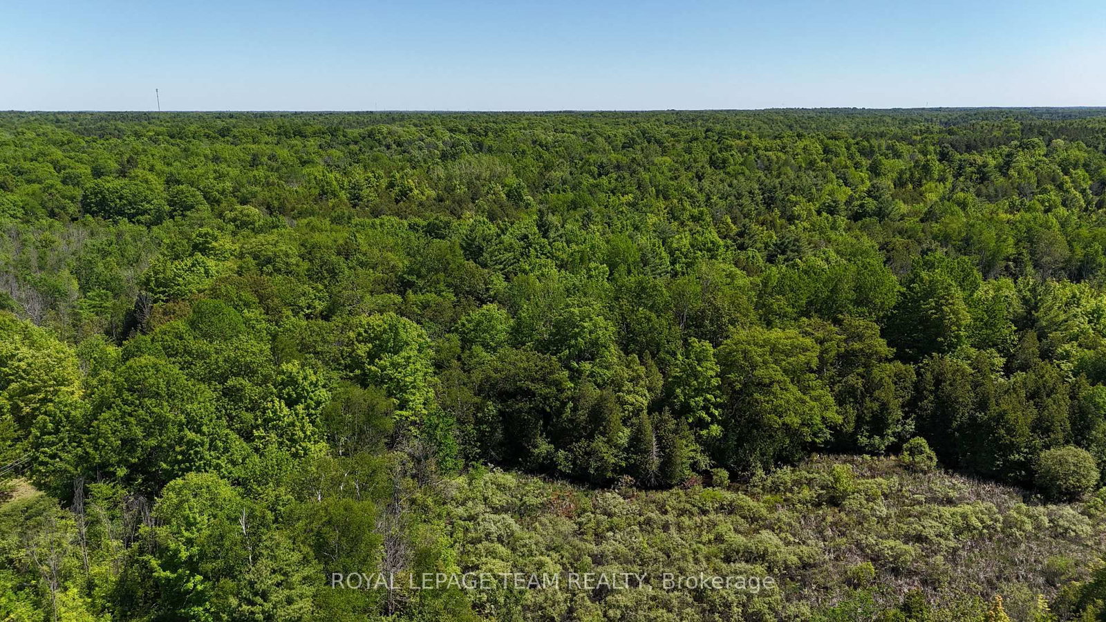 000 Dragonfly Lane • Rideau Lakes, ON photo 6