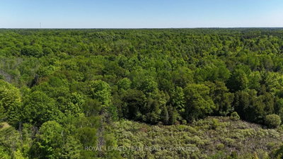 000 Dragonfly Lane • Rideau Lakes, ON photo 6