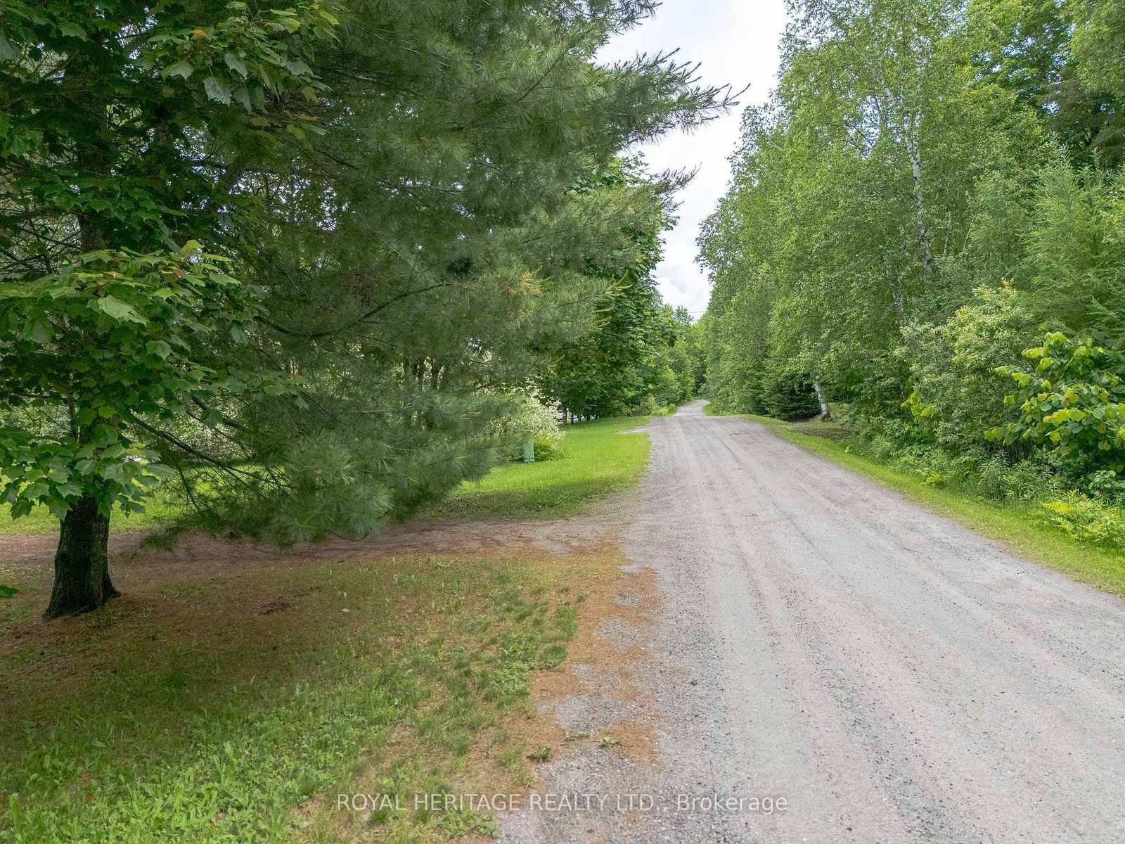 34 Gordon Point Road • Magnetawan, ON photo 3