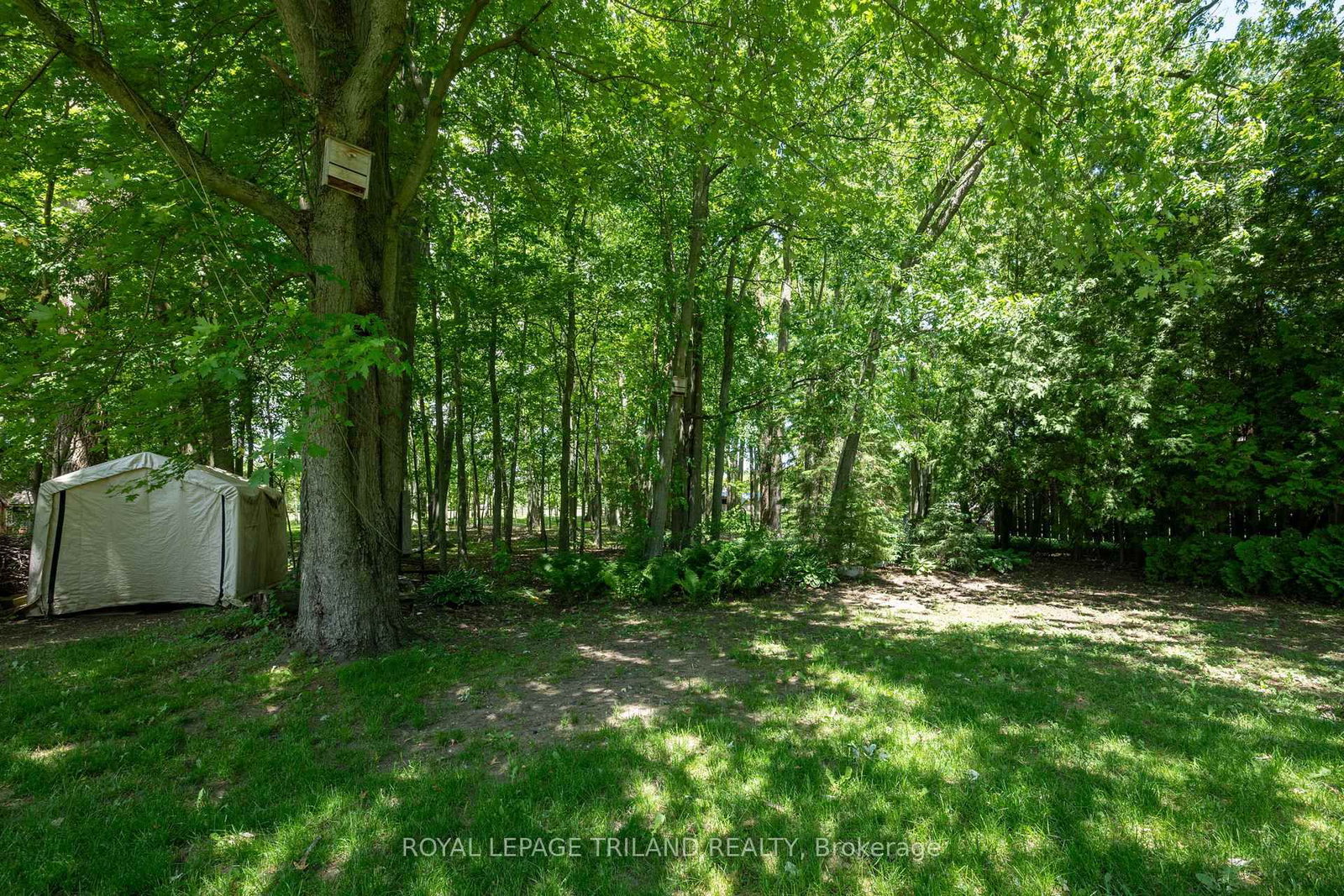 22516 Pioneer Line • West Elgin, ON photo 26