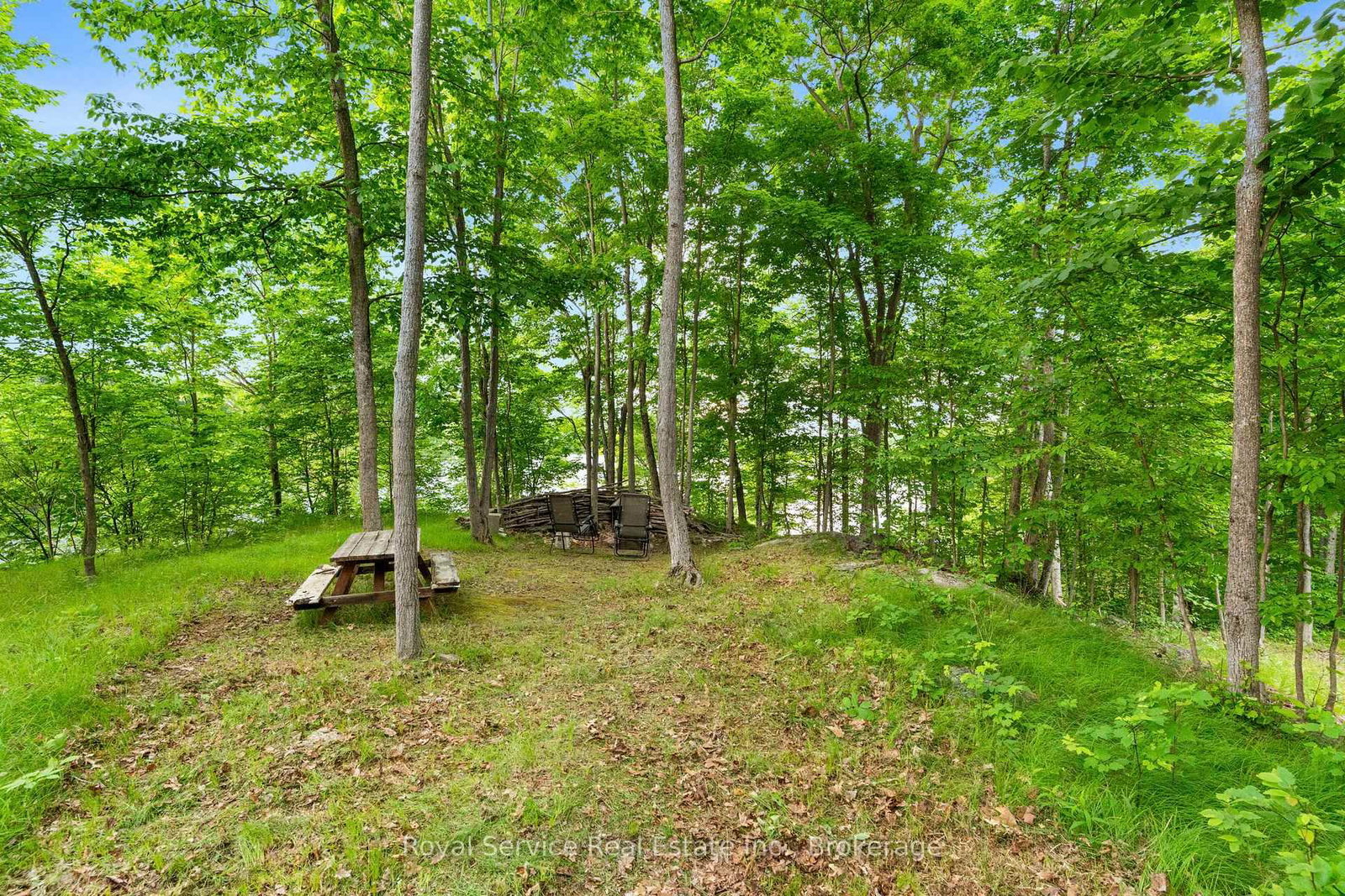 1314 Guigue Road • Sharbot Lake, ON photo 11