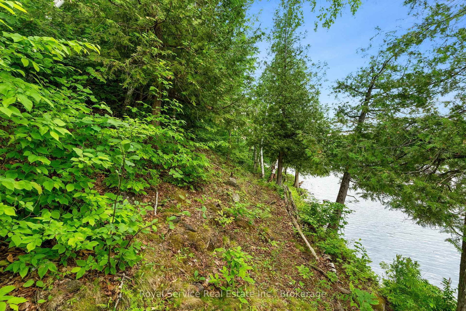 1314 Guigue Road • Sharbot Lake, ON photo 16