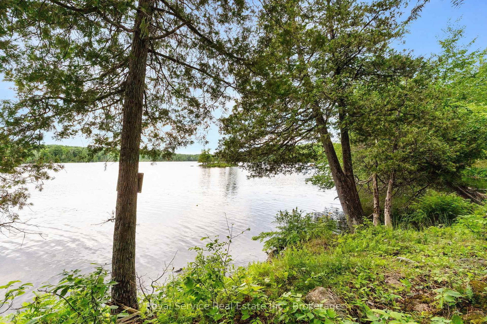 1314 Guigue Road • Sharbot Lake, ON photo 18