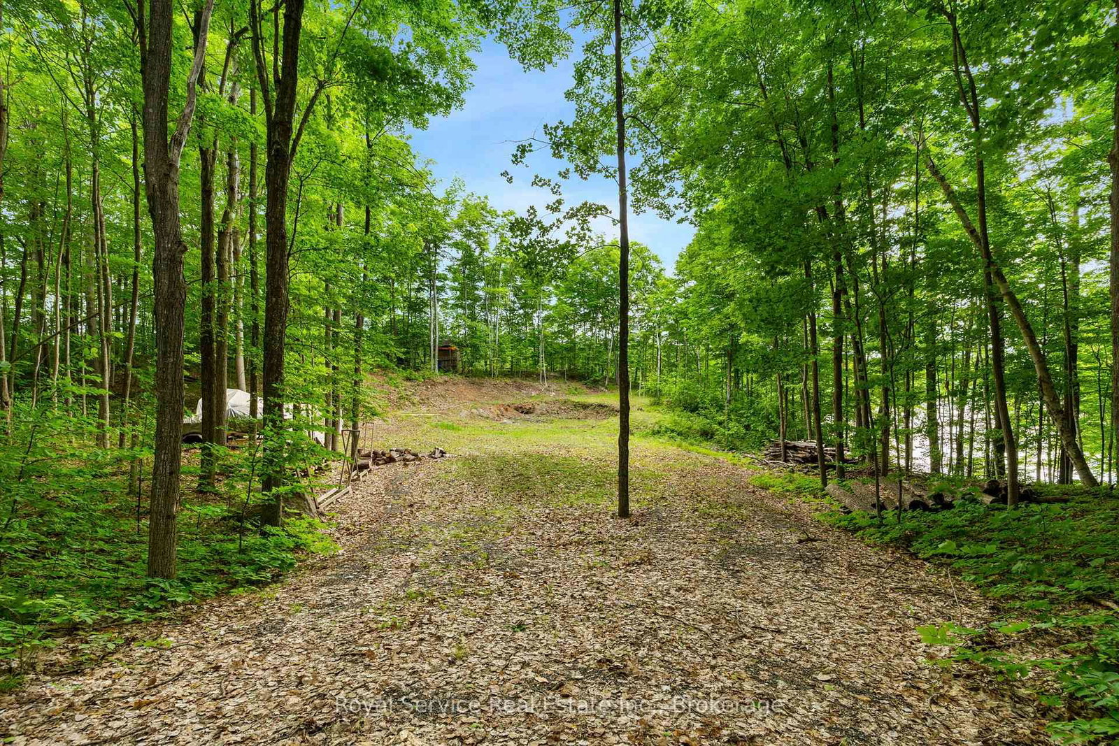 1314 Guigue Road • Sharbot Lake, ON photo 2