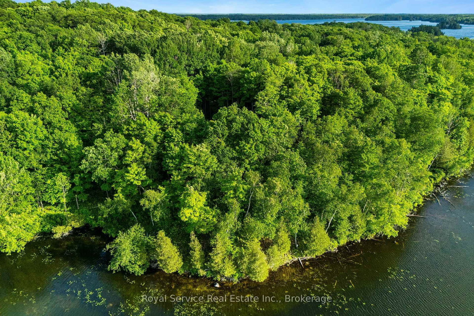 1314 Guigue Road • Sharbot Lake, ON photo 21