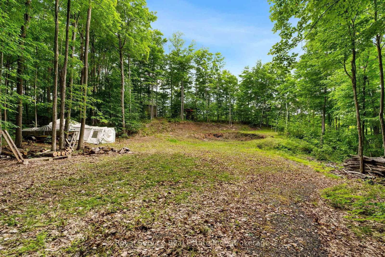 1314 Guigue Road • Sharbot Lake, ON photo 3