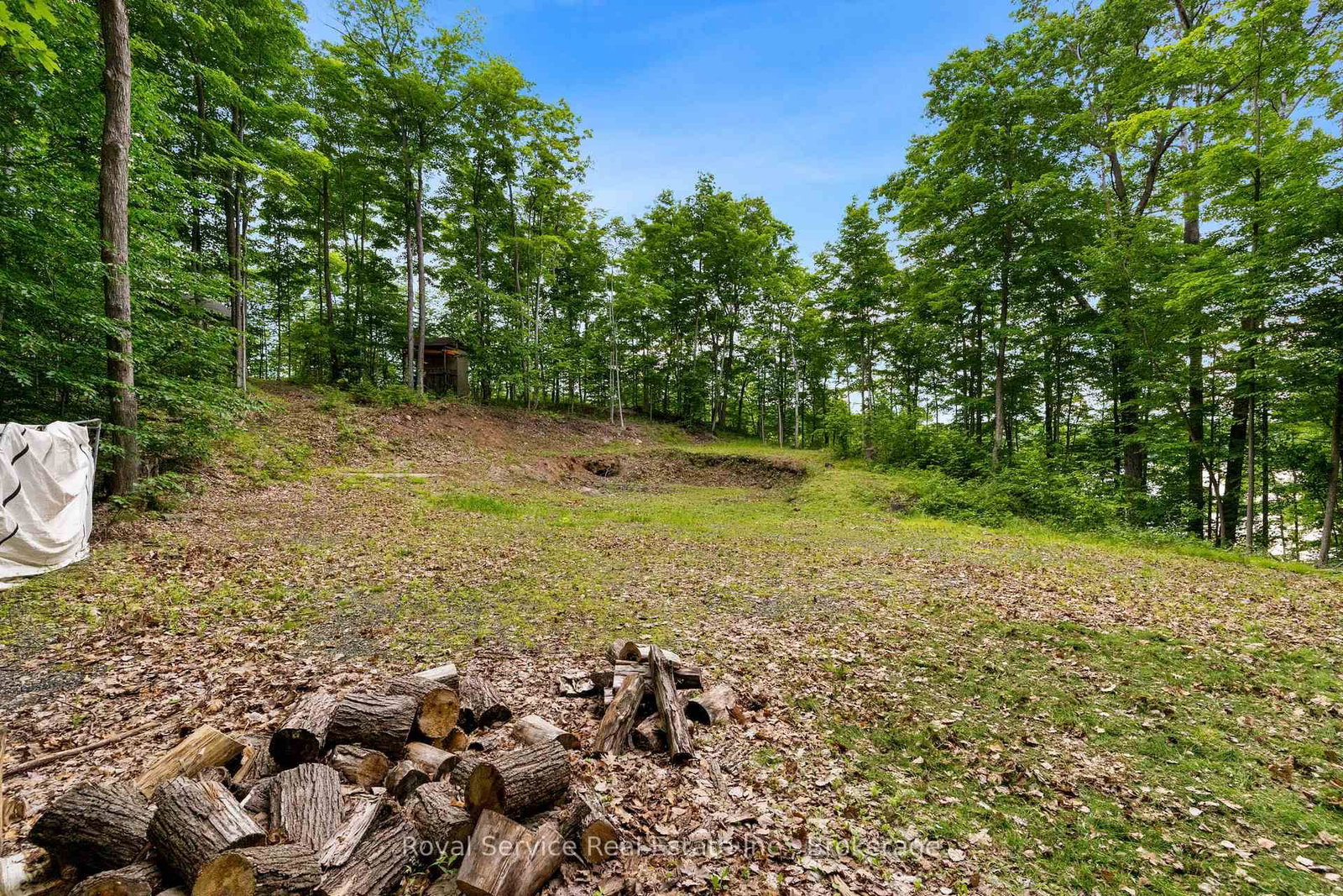 1314 Guigue Road • Sharbot Lake, ON photo 4