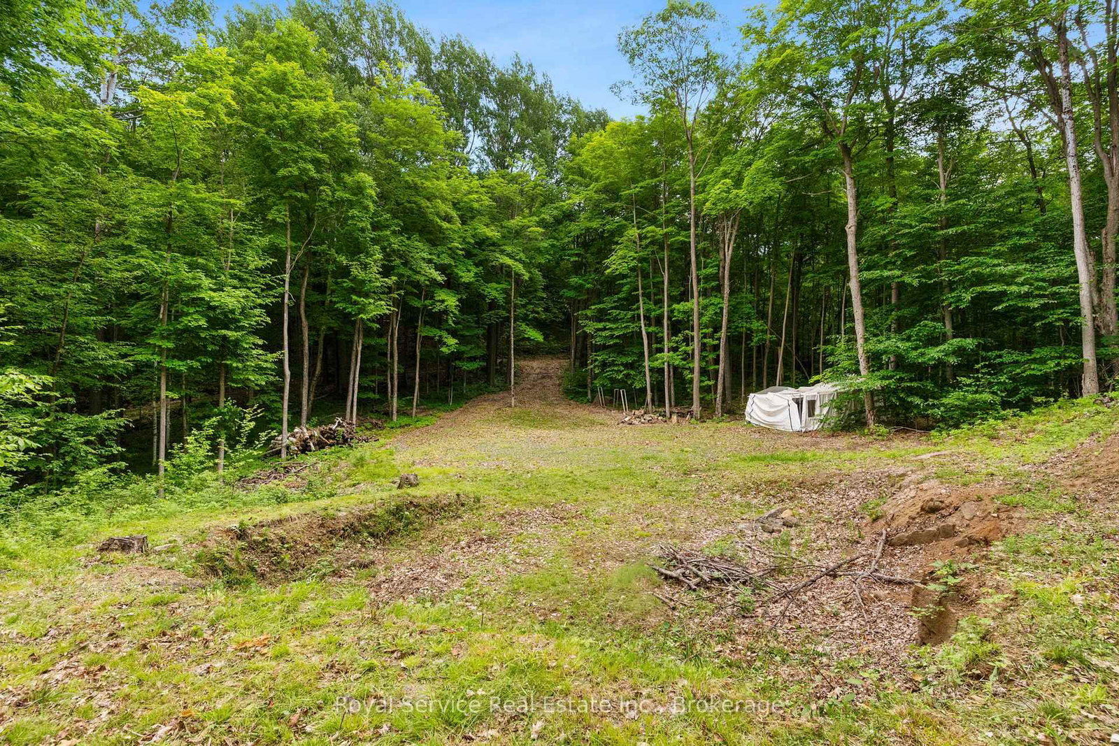 1314 Guigue Road • Sharbot Lake, ON photo 8