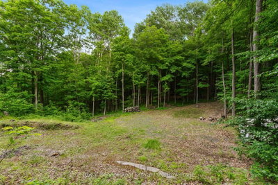 1314 Guigue Road • Sharbot Lake, ON photo 9