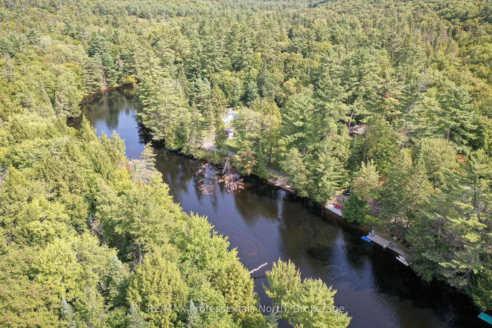 1019 Springdale Shores PVT • Bracebridge, ON photo 22