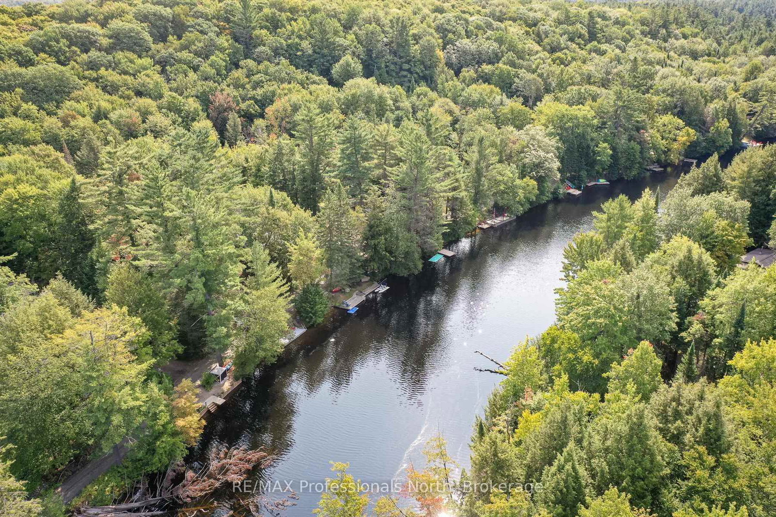 1019 Springdale Shores PVT • Bracebridge, ON photo 23