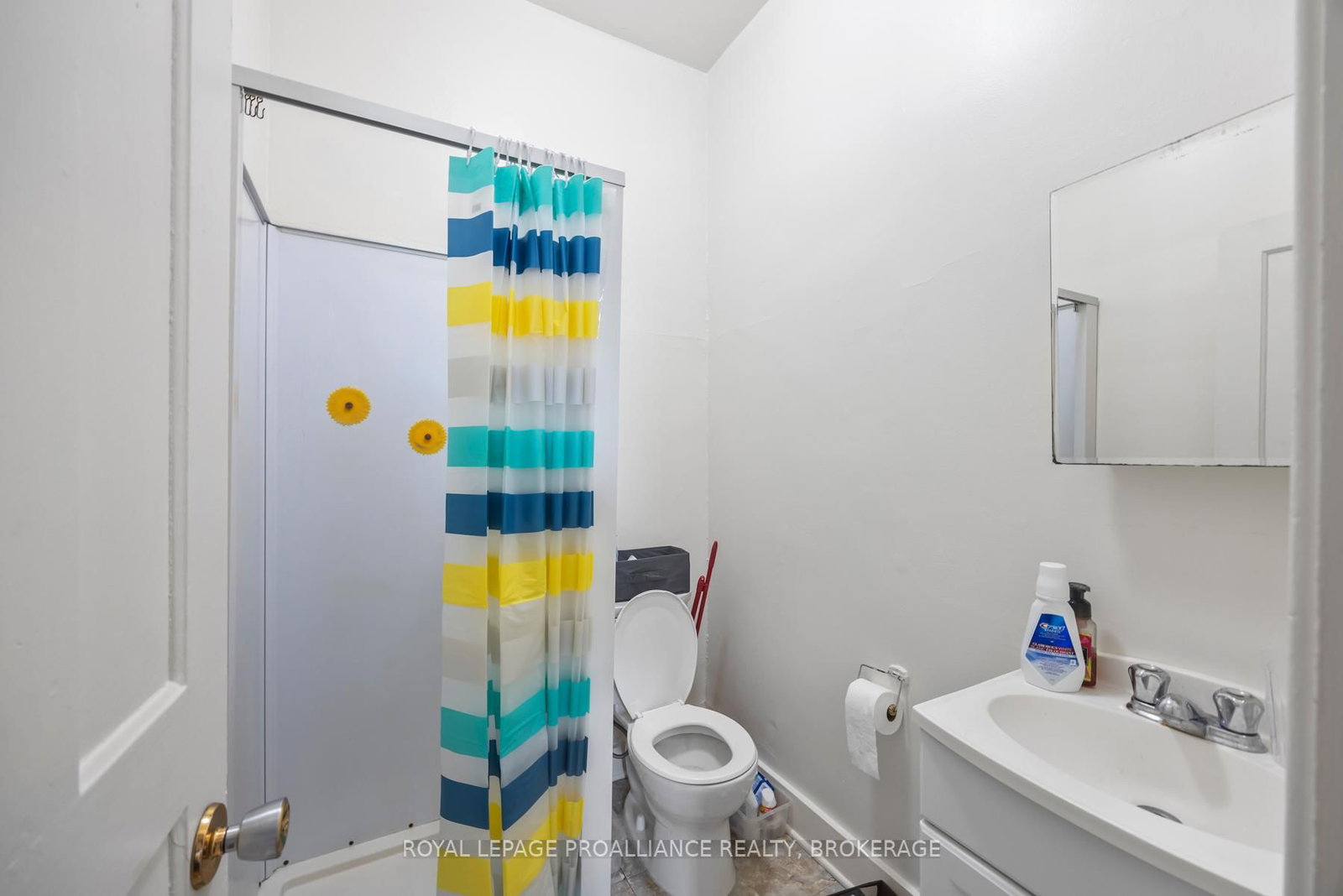 217 William Street • Kingston, ON photo 30