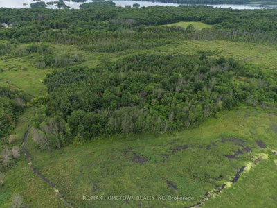 267 County Road 42 Road — photo 6
